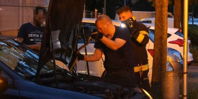Неожиданный пассажир: змея выползла из-под капота Mercedes прямо на ходу