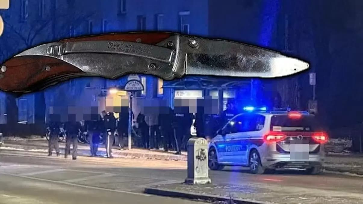 В Австрии происходит семь ножевых нападений каждый день: лидирует Вена
