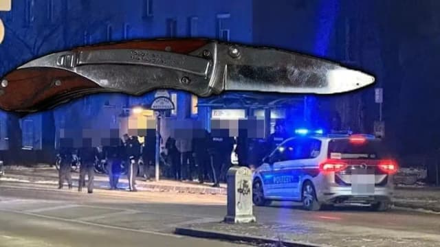 В Австрии происходит семь ножевых нападений каждый день: лидирует Вена