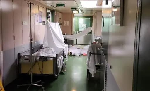 Пациенты на матрасах в коридорах, но у Венской ассоциации здравоохранения есть деньги на Pride