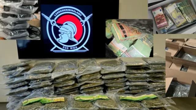 650 000 евро, оружие и 124 кг наркотиков: разоблачена международная банда