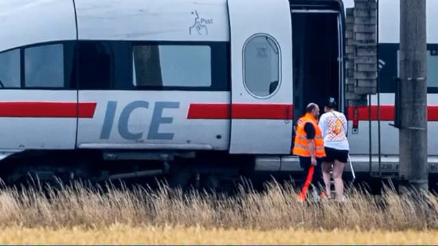 Нападение в поезде ICE: полиция задержала сирийца, зарегистрированного в Австрии