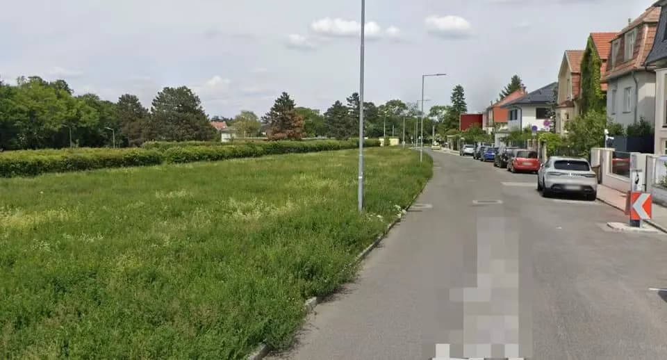 В Вене разыскивают мужчину, который изнасиловал 22-летнюю женщину