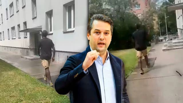 FPÖ требует немедленной депортации: серийный извращенец на свободе, а полиция Вены бессильна