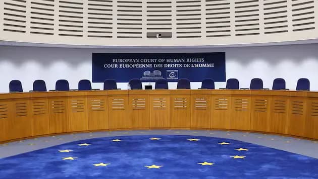 Остановленная депортация: Европейский суд по правам человека вмешался в план Австрии выдворить второго сирийца