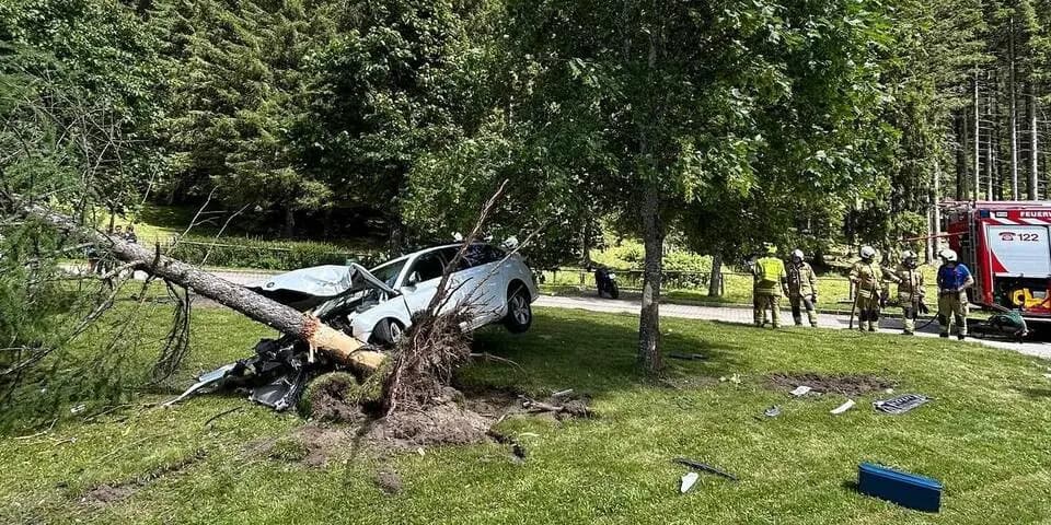 Чудом выжили: пьяный отец с ребёнком в авто на полном ходу врезался в дерево