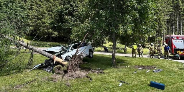 Чудом выжили: пьяный отец с ребёнком в авто на полном ходу врезался в дерево