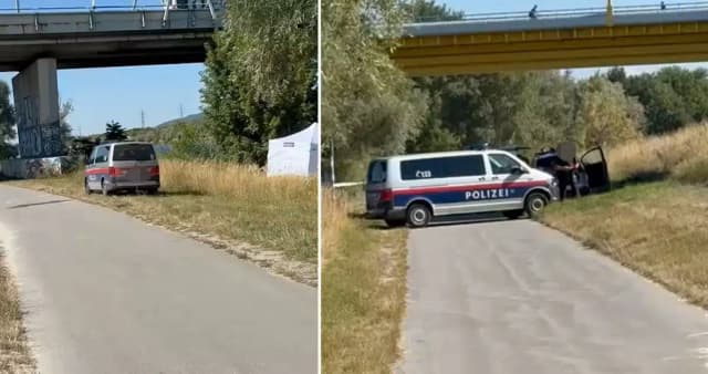Труп в Дунае: венская полиция подтвердила жестокое убийство