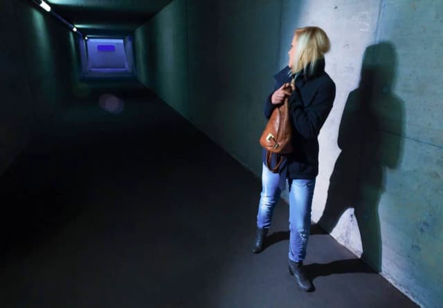 Венское исследование списывает страхи молодых женщин города на СМИ
