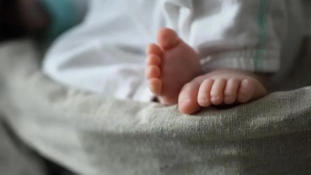 Судебное разбирательство в Штирии: репродуктолог тайно оплодотворял женщин без их согласия
