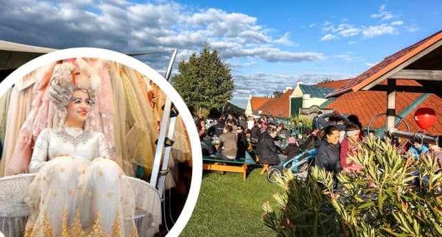 Чем заняться в Вене на выходных: от винных прогулок до фестиваля еды