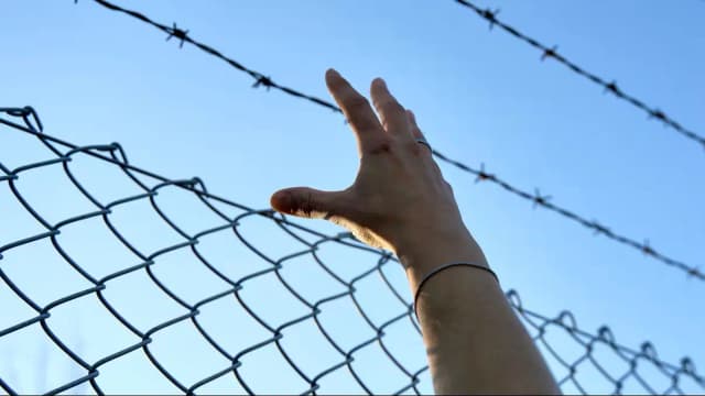 В Австрии сократилось число прошений об убежище на 37 % – ЕС говорит о «жёсткой политике»