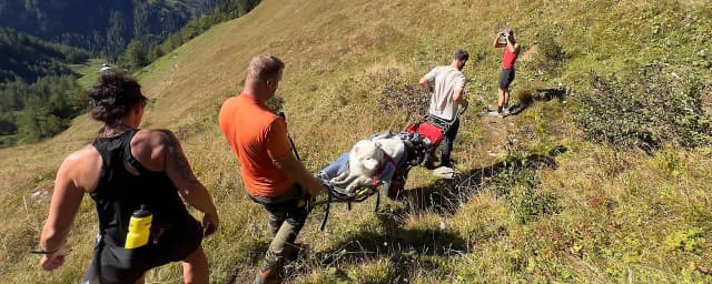 Тяжёлый пациент: в Зальцбурге собаку в долину пришлось нести на носилках после укуса гадюки