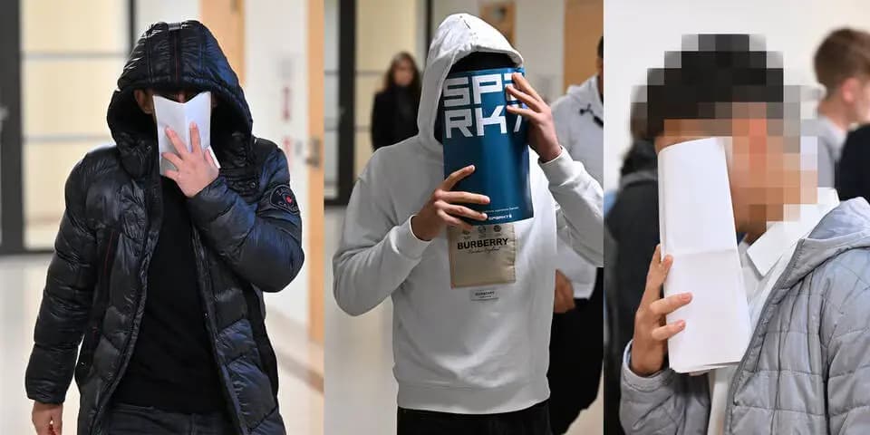Противоречия в показаниях: венский суд оправдал всех обвиняемых по делу об изнасиловании несовершеннолетней