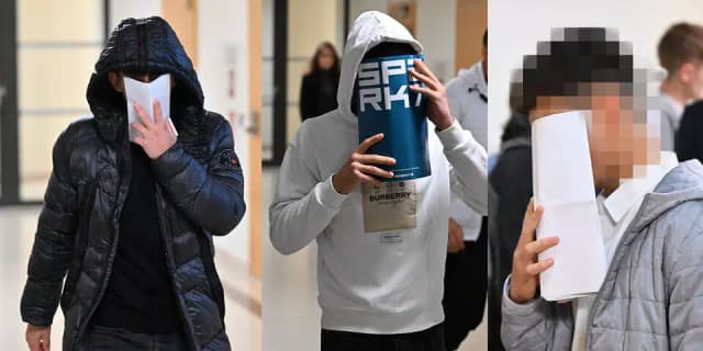 Противоречия в показаниях: венский суд оправдал всех обвиняемых по делу об изнасиловании несовершеннолетней
