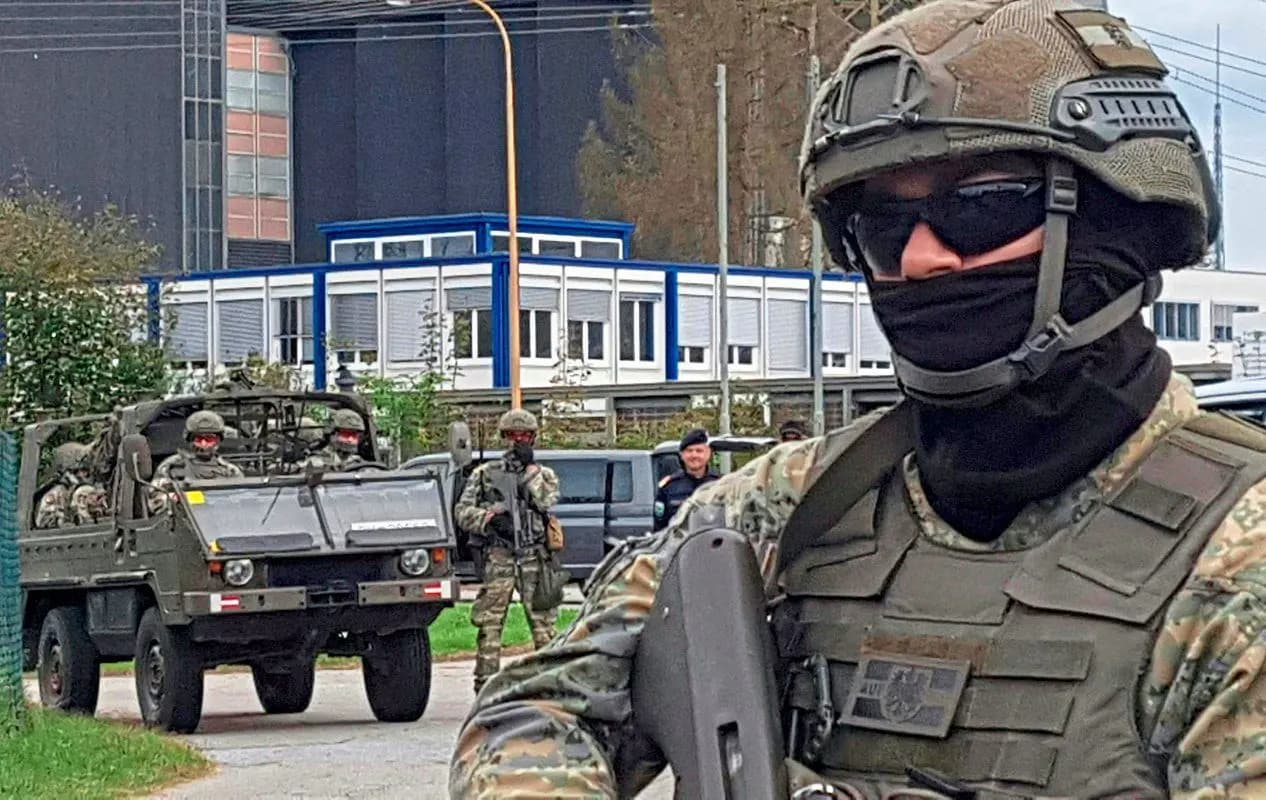 Только 22% австрийцев готовы защищать свою страну