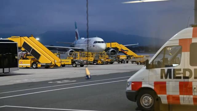 Заяц-русак сорвал рейс в Грецию: самолет Eurowings вернулся в Зальцбург