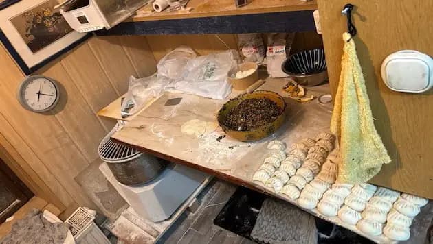 Мыши, грязь и подпольные пельмени: в Вене закрыли азиатское кафе