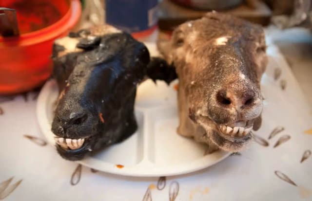 Ешь — если осмелишься: самые “фу!” блюда Европы