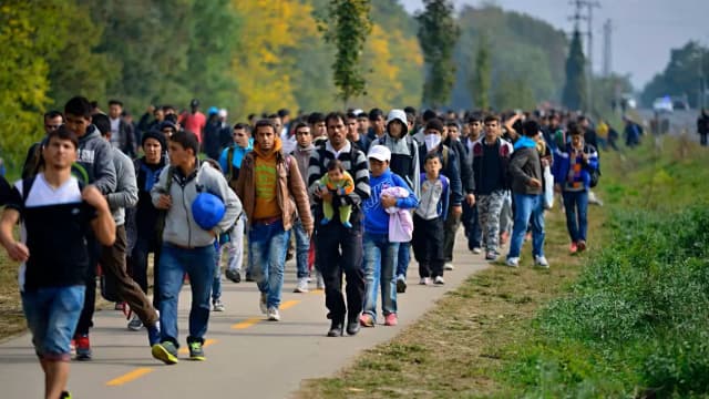 Австрия перегружена: страна может приостановить приём мигрантов до конца 2026 года