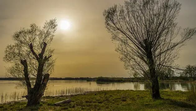 Осень без зимы: до +18 и пыль Сахары над Австрией