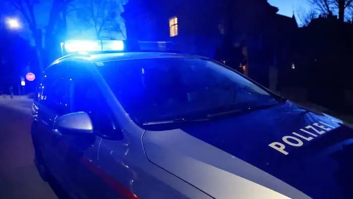 „Сладость или гадость“ по-венски: налётчики под видом детей ворвались в квартиру