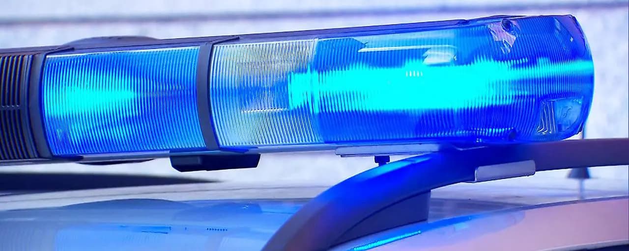 Связали и ограбили: жестокий налёт на заправку в Тироле