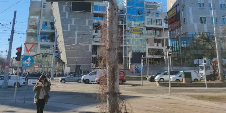 Ночная драка на Europaplatz: задержан украинец