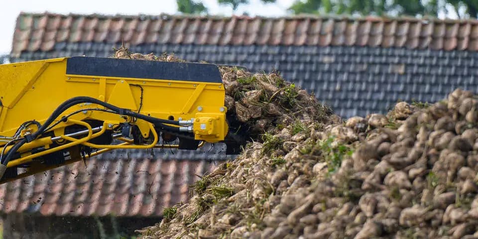 Сладкий бизнес рушится: Agrana сокращает персонал и закрывает заводы