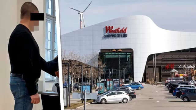 Суд в Винер-Нойштадте: белорусский юрист стал профессиональным вором