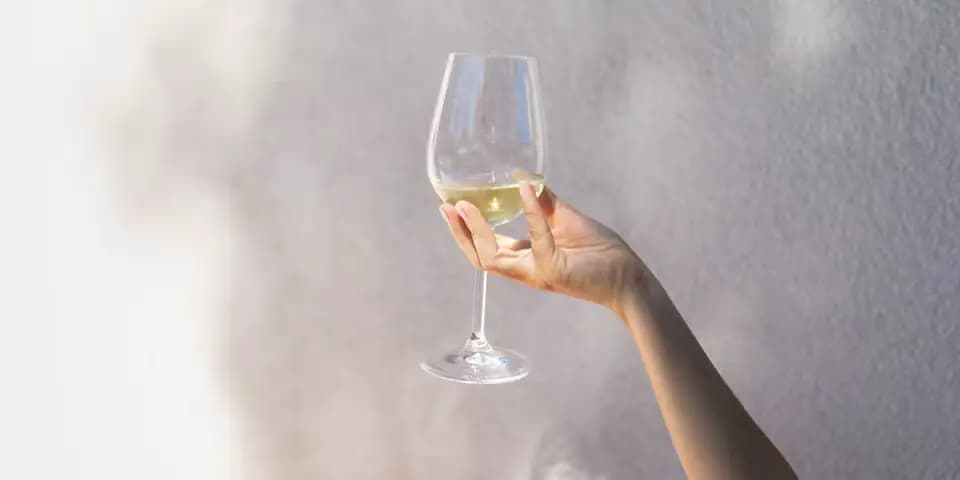 Триумф австрийского виноделия: рислинг из Нижней Австрии стал лучшим в мире