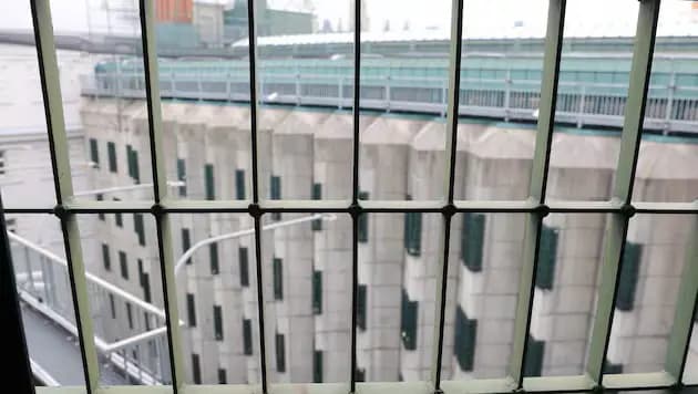 18 эпизодов, шестизначный ущерб и мотив «скучно»: в Вене задержаны три молодые поджигательницы