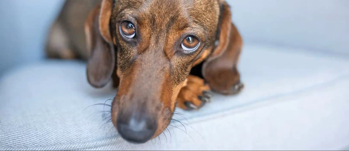 К чему готовиться австрийцам: полный список грядущих повышений цен и сборов