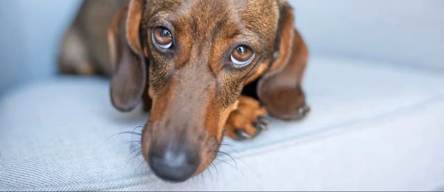 К чему готовиться австрийцам: полный список грядущих повышений цен и сборов