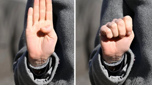 Тихий крик о помощи: как шестилетняя девочка в Вене спасла семью жестом SOS