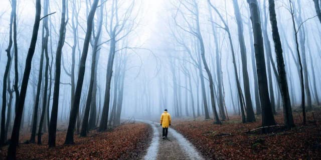 Прогноз на 2026 год: согласно народной примете много ветра и тумана в декабрьские дни...