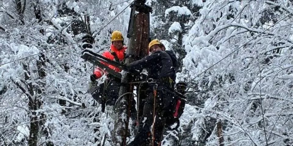 Снежный коллапс: Западная Штирия стала эпицентром рождественских отключений электроэнергии