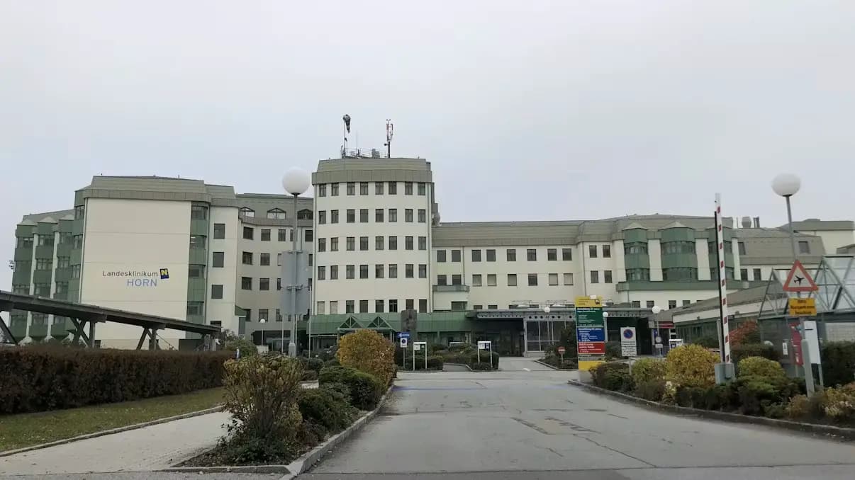 «Тут поможет только Освенцим»: главный врач больницы в Австрии уволен за нацистское высказывание