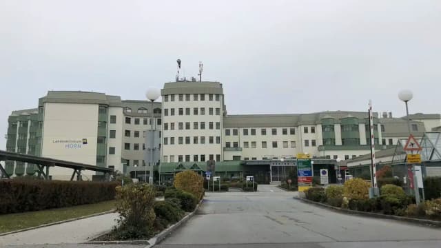 «Тут поможет только Освенцим»: главный врач больницы в Австрии уволен за нацистское высказывание