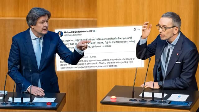 "Страна свиней" против "Четвертого рейха": как  политик NEOS разжигает спор ЕС и США