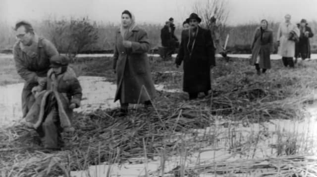 День в истории Австрии