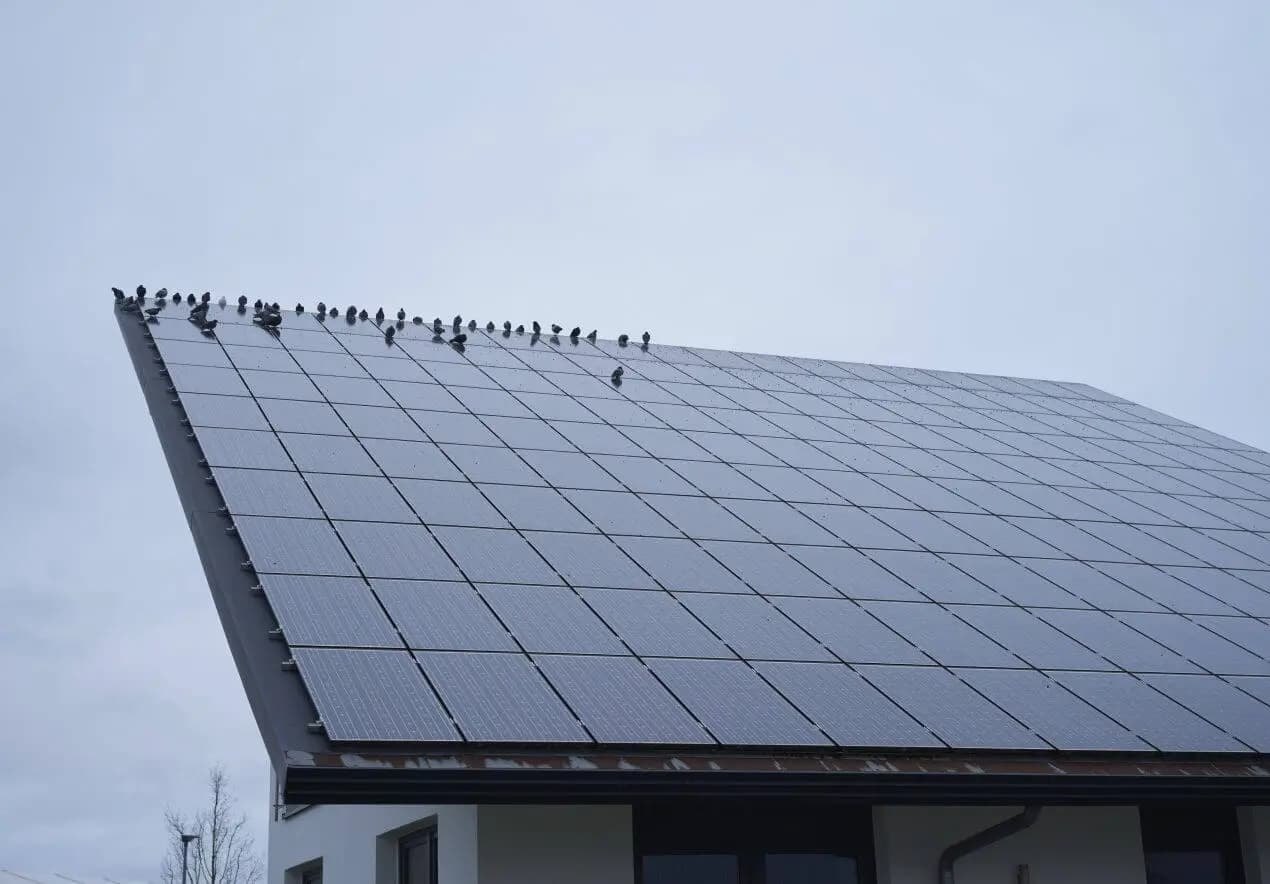 Темные штили тормозят солнечную энергетику: выработка электричества в Австрии снизилась на треть