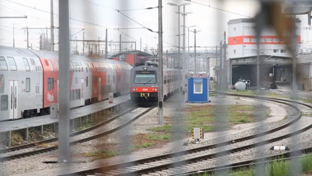 Попытка угона поезда в Нижней Австрии: мужчина ранил полицейскую при задержании