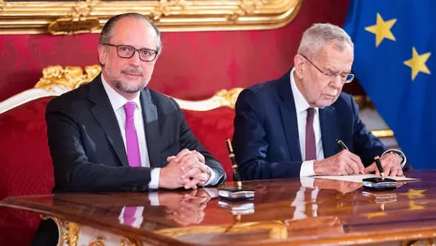 Новый президент? Слухи о Шалленберге как кандидате в Хофбург