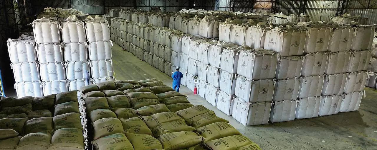 «Смертельный удар по крестьянству»: историческое соглашение ЕС по Mercosur раскололо Европу и бросило фермеров под трактор глобализации