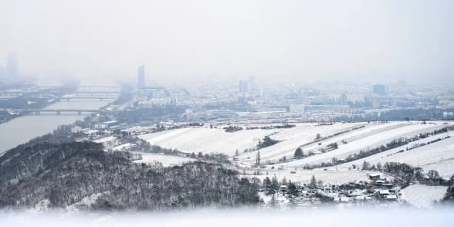 Вена готовится к снегу: новый зимний циклон надвигается на Австри