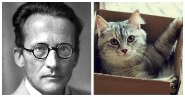 День в истории Австрии