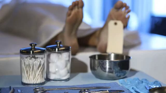 Смерть в постели и двойник у нотариуса: в Австрии раскрывают жуткое убийство миллионера