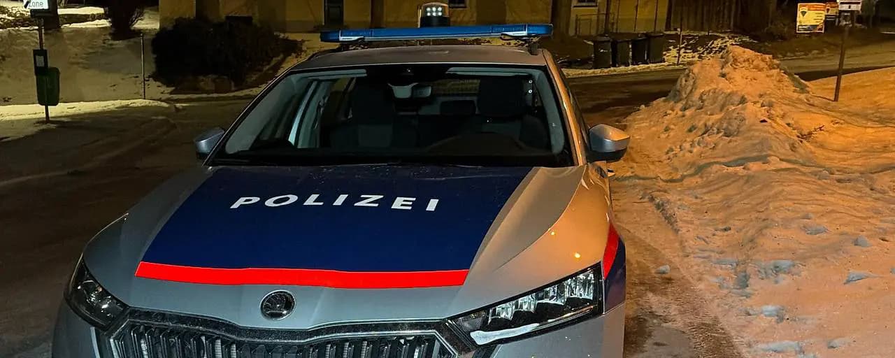 Трагедия в Нижней Австрии: в квартире нашли мёртвого малыша и его тяжелораненую мать