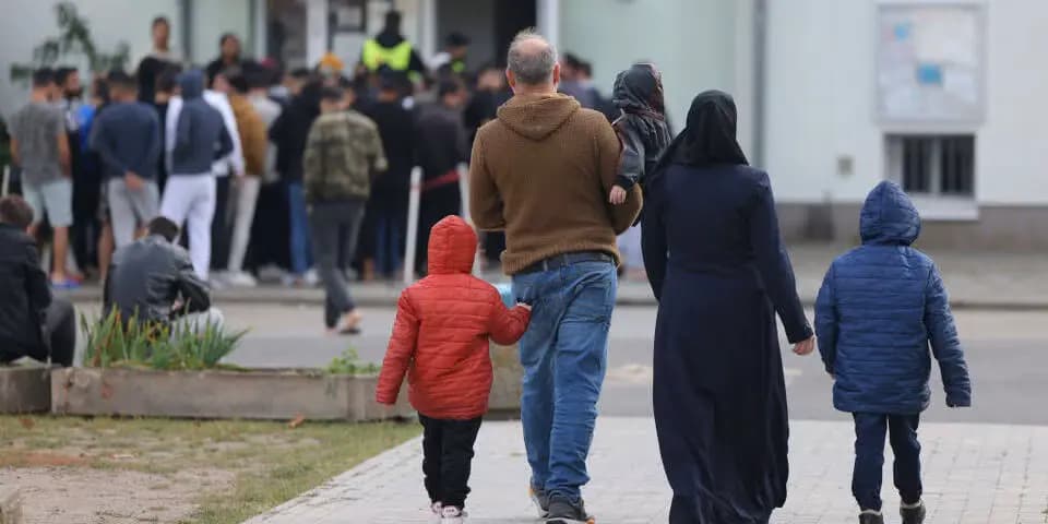 Исторический перелом: в Австрии впервые депортировали больше нелегалов, чем прибыло новых беженцев